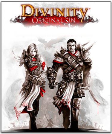 Divinity: Original Sin - Digital Collectors Edition